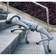 Technology Dog Unitree Artificial Intelligence Accompanying Bionic Accompanying Intelligent Robot Go2 Quadruped Robot Dog