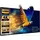 Projector screen 5 meters electric with remote control Projector screen 5 meters electric with remote control