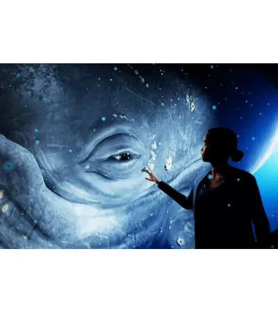 Supplying and designing all types of theatrical holograms and implementing all concerts, 7 image Supplying and designing all types of theatrical holograms and implementing all concerts, 7 image