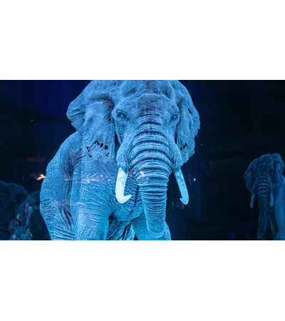 Supplying and designing all types of theatrical holograms and implementing all concerts, 6 image Supplying and designing all types of theatrical holograms and implementing all concerts, 6 image