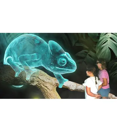 Supplying and designing all types of theatrical holograms and implementing all concerts, 10 image Supplying and designing all types of theatrical holograms and implementing all concerts, 10 image