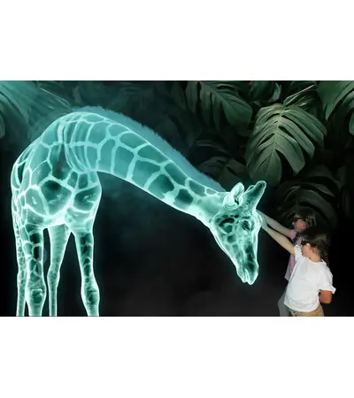 Supplying and designing all types of theatrical holograms and implementing all concerts, 5 image Supplying and designing all types of theatrical holograms and implementing all concerts, 5 image