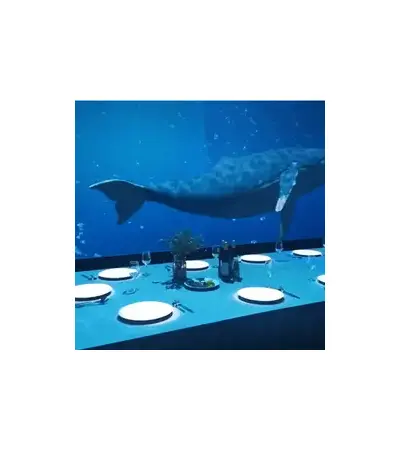 Elevate your restaurant dining experience with hologram technology - an interactive table touch and sensor, 5 image Elevate your restaurant dining experience with hologram technology - an interactive table touch and sensor, 5 image