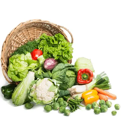 تصميم تطبيق سوبر ماركت متعدد التجار