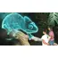Supplying and designing all types of theatrical holograms and implementing all concerts, 10 image Supplying and designing all types of theatrical holograms and implementing all concerts, 10 image