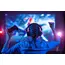 Ultra contrast projector screen paint, 3 image Ultra contrast projector screen paint, 3 image