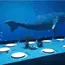 Elevate your restaurant dining experience with hologram technology - an interactive table touch and sensor, 5 image Elevate your restaurant dining experience with hologram technology - an interactive table touch and sensor, 5 image