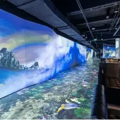 تقنية الهولوجرام للمطاعم | شاشة تعمل باللمس واستشعار تفاعلي لطاولة