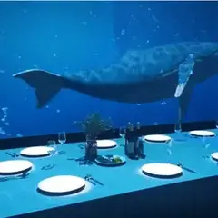 تقنية الهولوجرام للمطاعم | شاشة تعمل باللمس واستشعار تفاعلي لطاولة