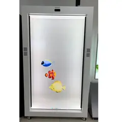 هولوجرام البث المباشر