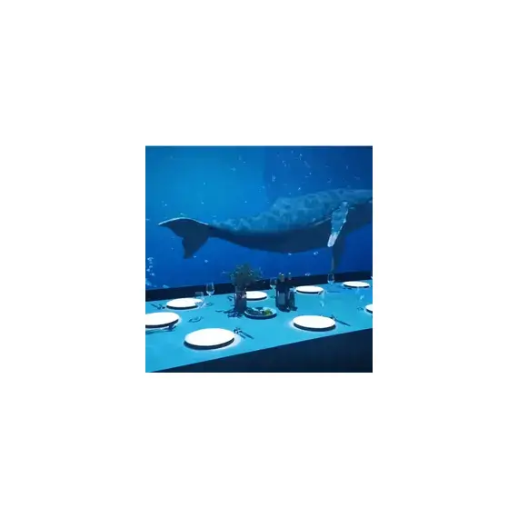 تقنية الهولوجرام للمطاعم | شاشة تعمل باللمس واستشعار تفاعلي لطاولة