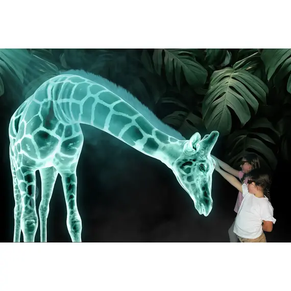 أيجار هولوجرام مسرحي وتنفيذ الحفلات | هولوبوكس | مروحة هولوجرام | هولوجرام هرمي