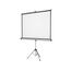 شاشة بروجيكتور على حامل ثلاثى، 244 × 244 سم